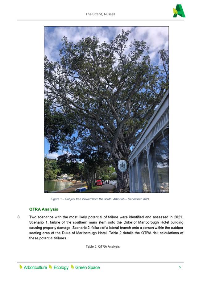 A tree with a building in the background

Description automatically generated with low confidence