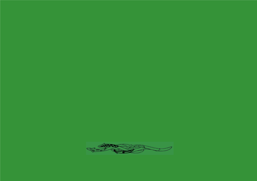 A green background with a black lizard

Description automatically generated