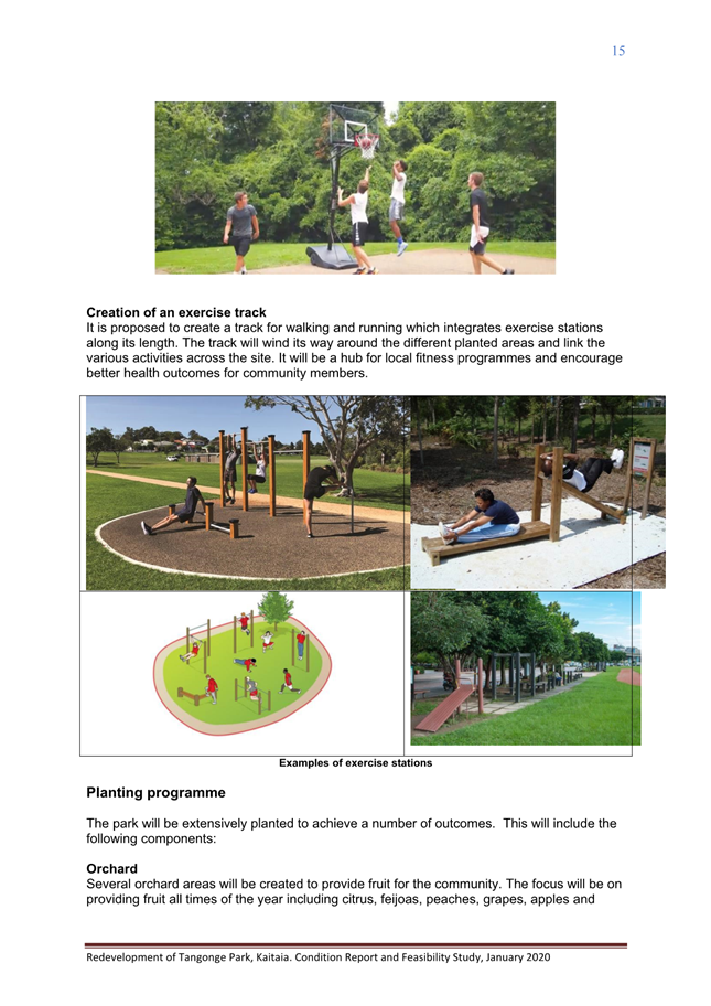 A collage of people in a park

Description automatically generated