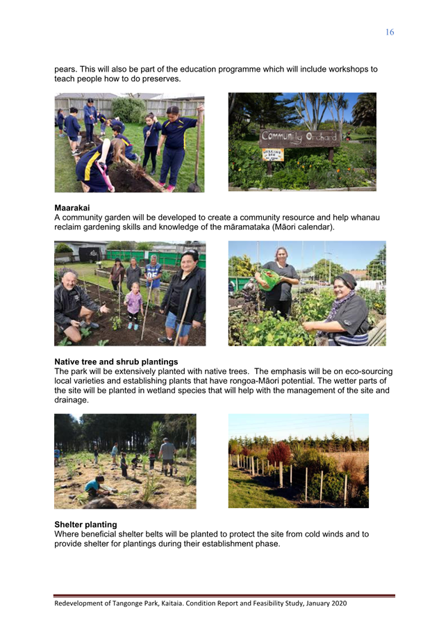 A collage of people working in a garden

Description automatically generated
