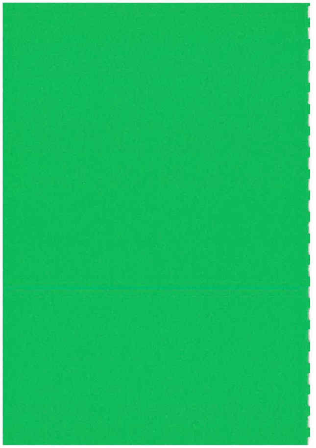 A green rectangle with a white border

Description automatically generated