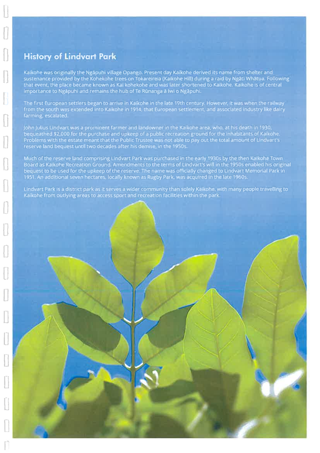 A close-up of a leaf

Description automatically generated