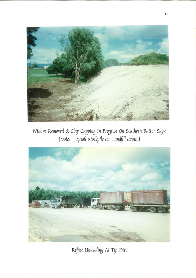 A collage of trucks and a tree

Description automatically generated