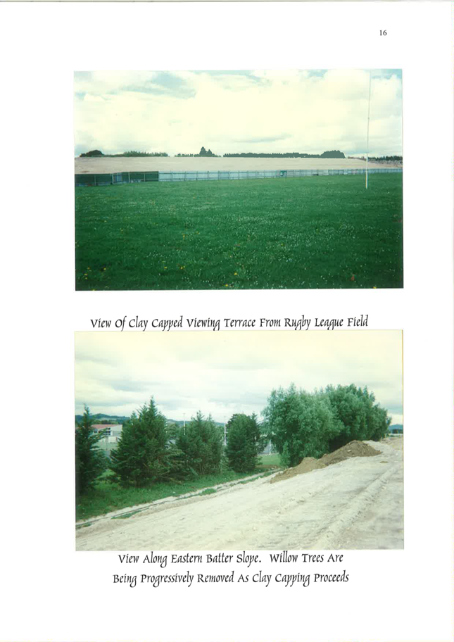 A collage of a field and a dirt road

Description automatically generated