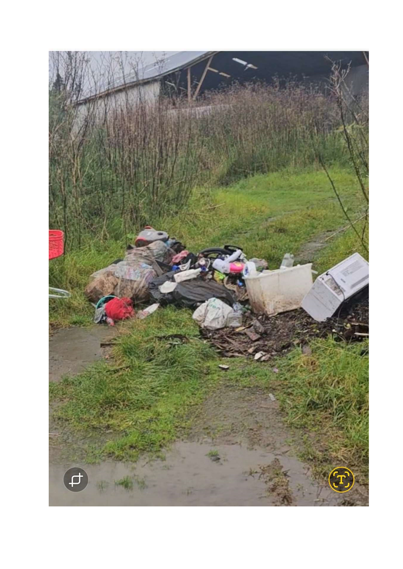 A pile of garbage in a grassy area

AI-generated content may be incorrect.